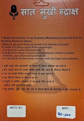 7 Mukhi Rudraksha